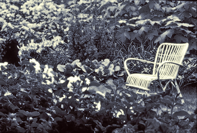 Empty garden chair